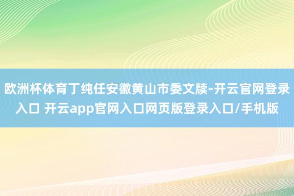 欧洲杯体育丁纯任安徽黄山市委文牍-开云官网登录入口 开云app官网入口网页版登录入口/手机版